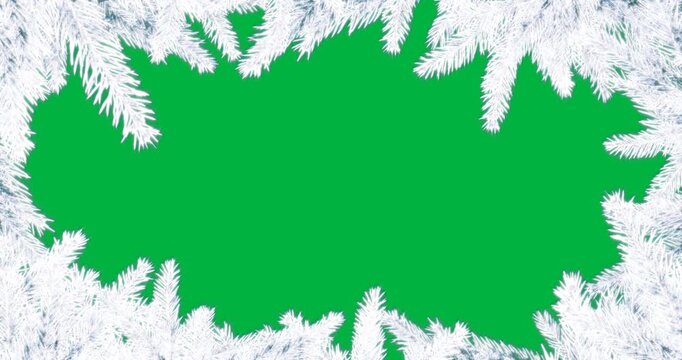 Animation of frame formed with branches of christmas fir trees and copy space on white background