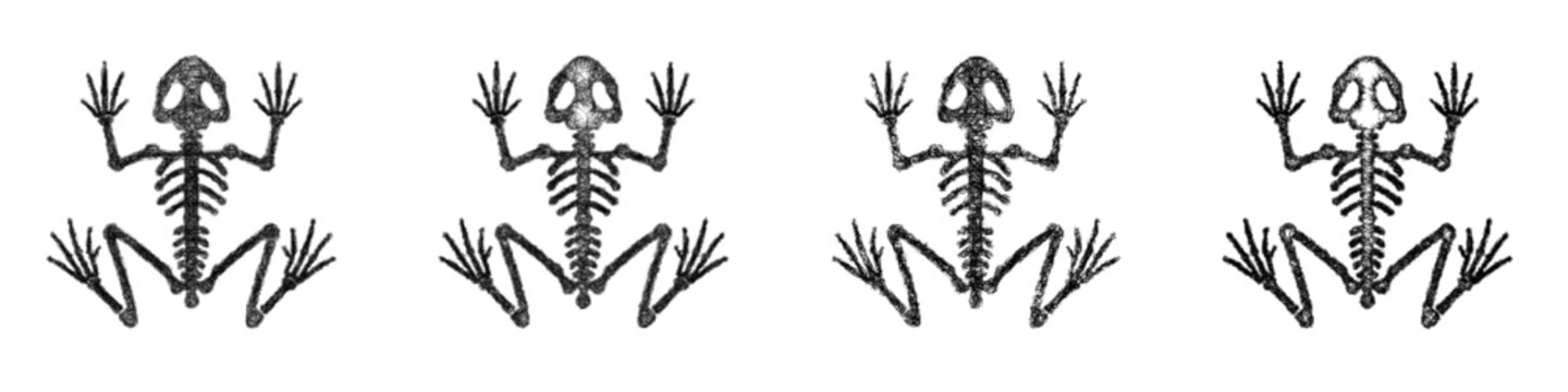 Sketch Frog Skeleton icon design set