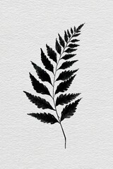 Fototapeta premium Minimalist black fern illustration