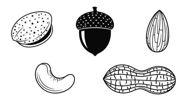 Black and white icons of various nuts including an acorn, almond, peanut, cashew, and a macadamia nut for food designs.