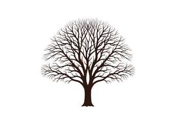 Obraz premium Bare Tree Silhouette with Intricate Branch Network.