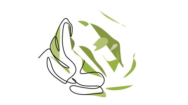 Animated self drawing of continuous line draw of  cabbage . Full length one line animation. 4K