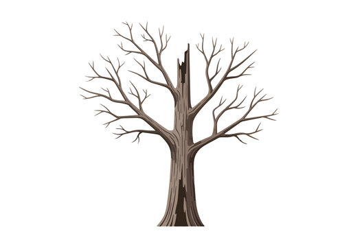 A solitary bare tree with a broken trunk stands tall.