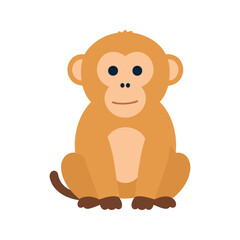 Obraz premium Cute monkey with big eyes sitting down and looking directly at the viewer