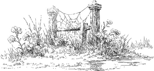 Obraz premium Old wooden fence with spider webs and wild plants near water edge, rustic nature scene
