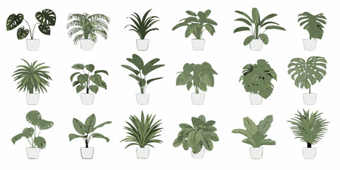 A collection of various potted houseplants arranged in a grid pattern © Sanjoy