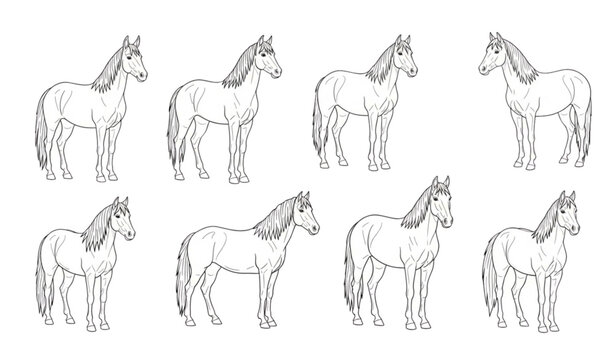Hand Drawn Horse Breeds Doodle Set Cartoon Equine Animals Vector Illustration