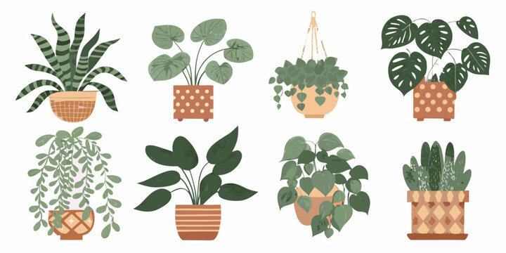 A collection of diverse potted houseplants with varying leaf shapes and colors