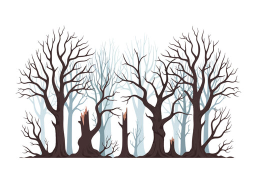 Dark Forest Silhouette Majestic Bare Trees.
