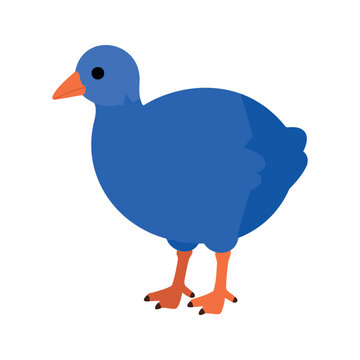Cartoon pukeko bird standing on its legs with an orange beak and blue feathers