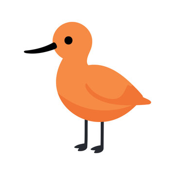 The image features a simplistic, cartoon-style sandpiper, characterized by its orange plumage and slender black legs, in vector format.