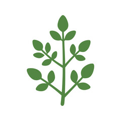 Obraz premium Illustration shows a single branch with leaves; the graphic is isolated on a white background and uses a flat, simple design.