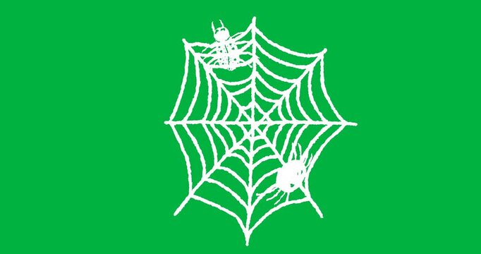 Animation of white spiders web appearing on black background