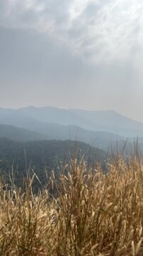 Breathtaking Green Landscape of Western Ghats, India. - Vertical Orientation.