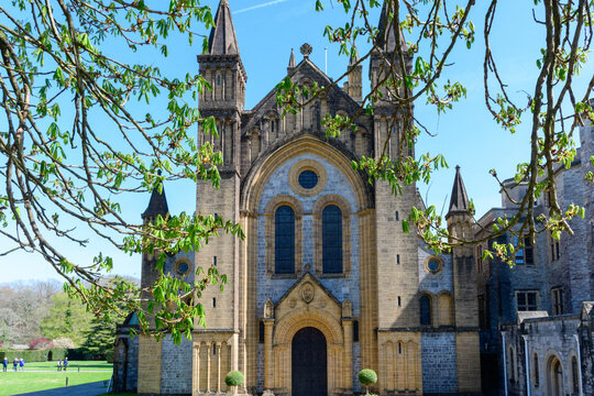 Buckfast Abbey through the tree
