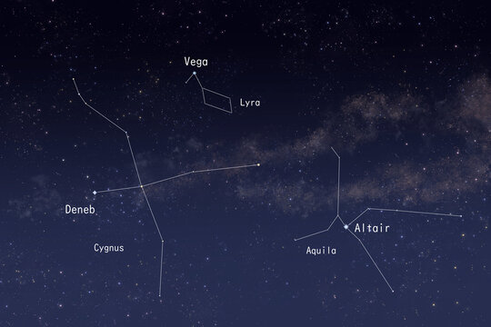 Summer Triangle Constellations and Stars Labeled Diagram