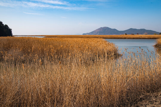 순천만, 순천만 습지, 순천만 람사르 습지, Suncheon Bay, Suncheon Bay Wetland, Suncheon Bay Ramsar Wetland