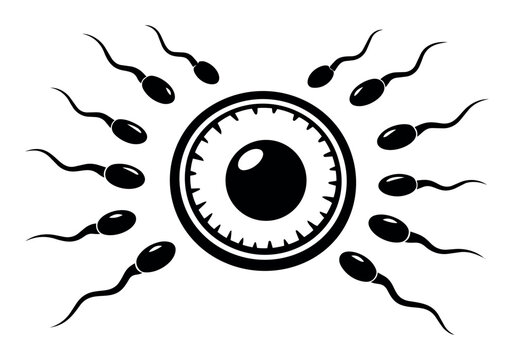 Sperm cells swimming towards an ovum, illustrating the biological process of fertilization, conception, and the start of pregnancy