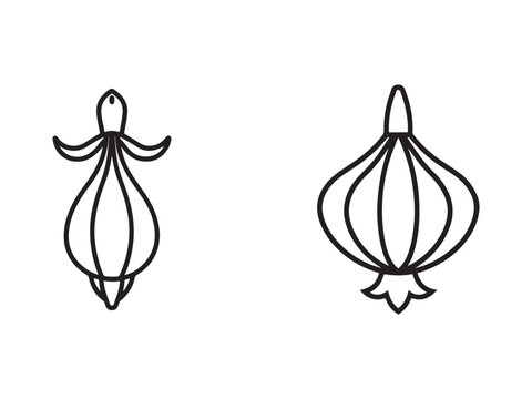 Onion and garlic bulb line art illustrations  simple vegetable icons for cooking and food design