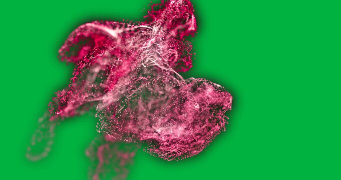 Animation of pink smoke trail with particles flowing on white background