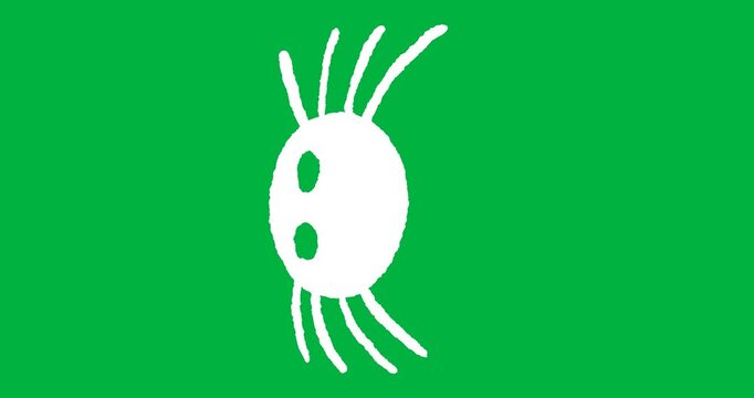 Animation of white spider appearing on black background