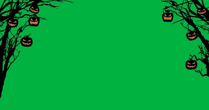 Animation of halloween jack o lanterns hanging on branches on white background