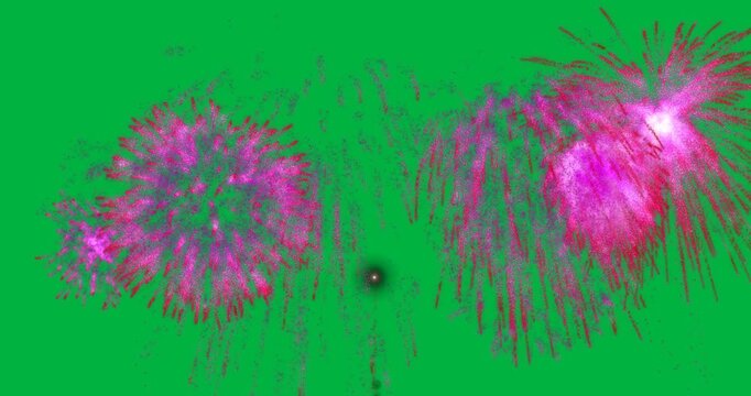 Animation of new year's eve pink fireworks exploding on white background