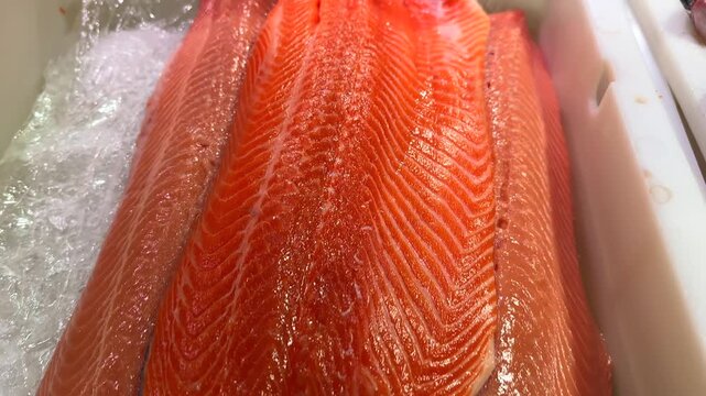 Fresh Salmon Fillets in White Container at Market