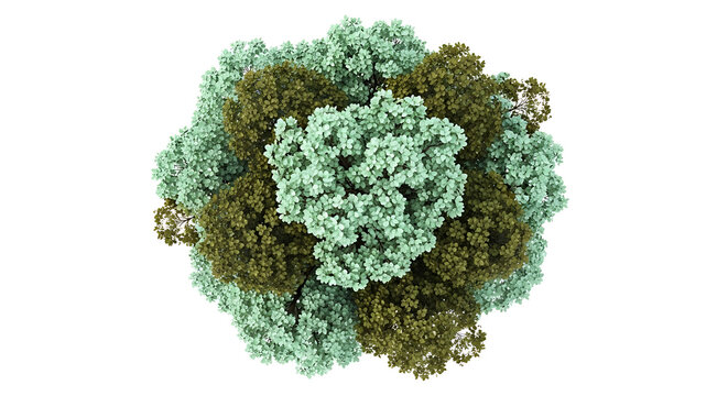 Aerial view of a green tree with many leaves  isolated on transparent background transparent background