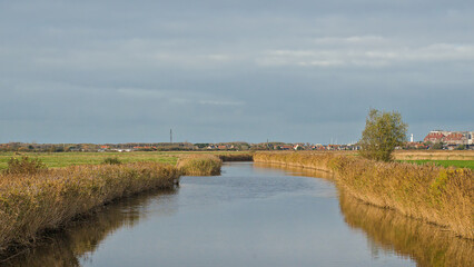 Fototapeta premium Blankenbergse Vaart canal with golden reed under a cloudy sky in Uitkerkse polder, Zeebrugge, Flanders, Belgium 