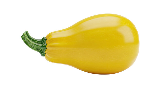 Yellow squash with striped green stem