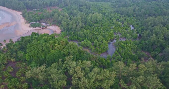 Epic drone perspective over Koh Phra Thong showing a winding mangrove waterway opening into the sea. Deep green forest contrasts with bright sandy shore and blue ocean, capturing the raw beauty