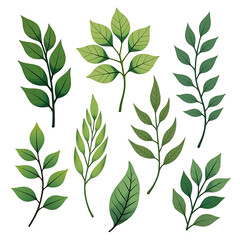 Fototapeta premium Collection of green leaves and branches isolated on white background natural botanical elements for design.