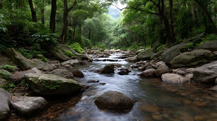 Obraz premium Crystal clear water flows over moss covered rocks through a dense tranquil woodland environment