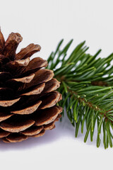Fototapeta premium A close-up shot of a pine cone sitting next to a pine tree branch. vertical frame