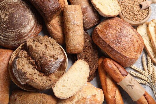 Different types of bread, grains and spikes on grey table, flat lay