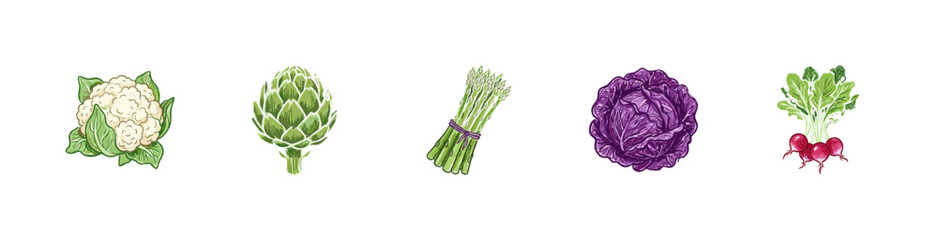 Obraz premium Fresh Garden Vegetables and Healthy Food Ingredients with Colorful Crayony Brush Strokes and Expressive Colorful Lines.