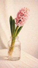 Fototapeta premium Elegant pink hyacinth in jar mobile wallpaper