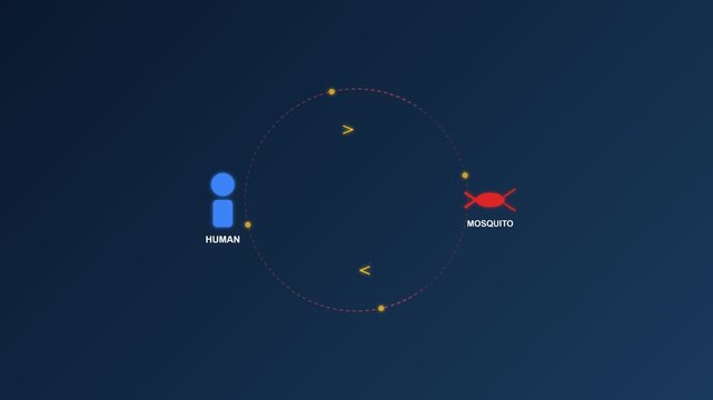 Malaria Transmission Cycle Animation | Disease Spread Educational Loop 4K