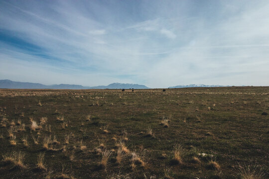  Antelope Island Utah State Park Sunny Spring Hiking Views 