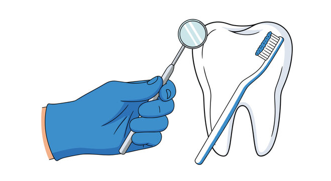 A blue gloved hand holds a silver mirror towards a large white molar tooth while a toothbrush rests against it on a pristine white background setting.