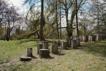 Fototapeta premium Natural wooden stepping stumps arranged for balance on a grassy park slope under tall spring trees