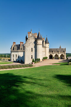 Chateau d'Amboise located in France with clear sky and green grass
