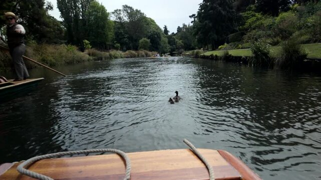 Point Of View River Ride With Ducklings In Park