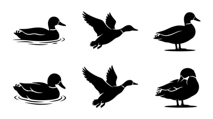 Obraz premium duck silhouette vector set