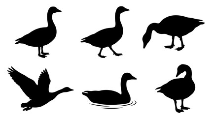 Obraz premium goose silhouette vector set