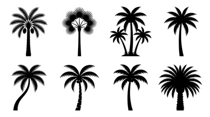 Obraz premium palm tree silhouette vector set