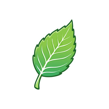 Vibrant green leaf with detailed veins in a simple illustrative style