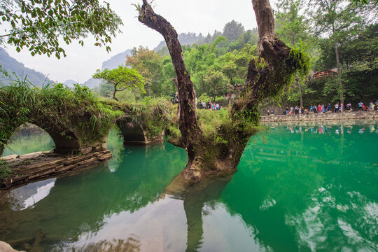 Morning Scenery at Xiaoqikong, Libo, Guizhou