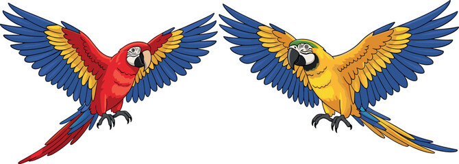 Colorful macaw parrot vector set with flying tropical birds blue yellow and red winged illustrations © Vector Design Hub